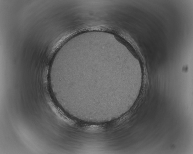 X0000114620058200912011011