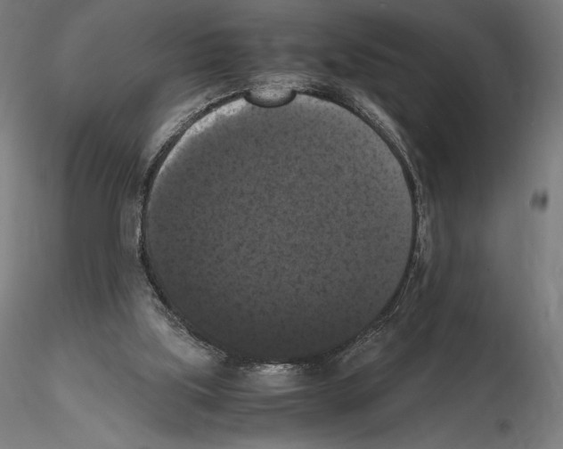 X0000114620059200912011011