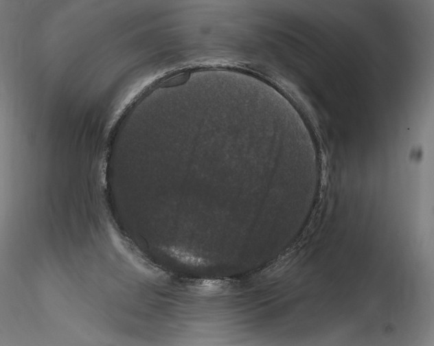 X0000114620060200912011011