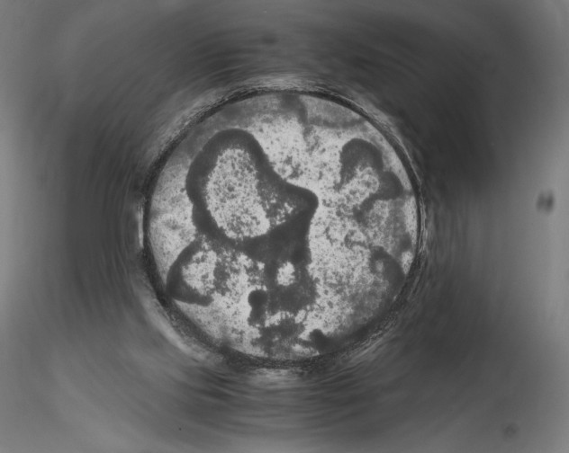 X0000114620061200912011011