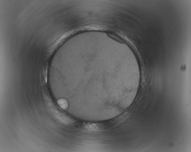 X0000114620062200912011011