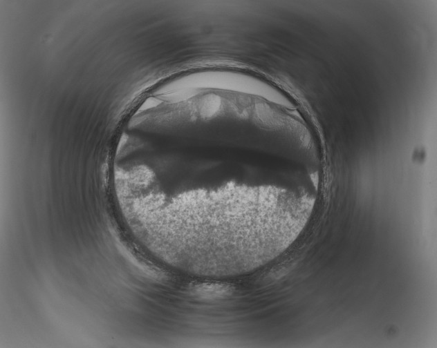 X0000114620063200912011011