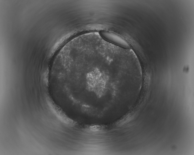 X0000114620064200912011011