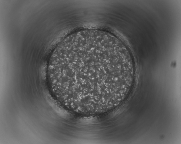 X0000114620065200912011011