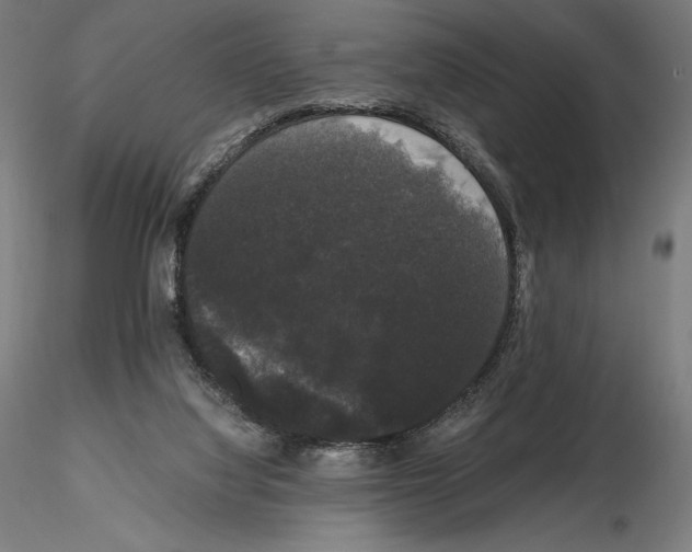 X0000114620068200912011011