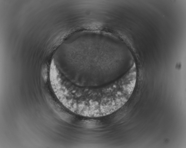 X0000114620069200912011011