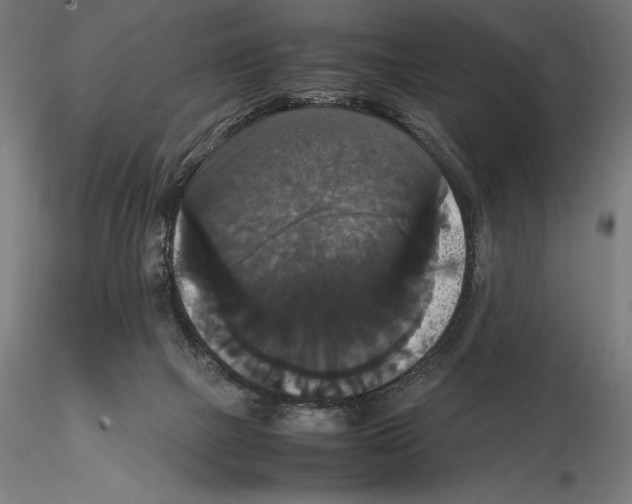 X0000114620073200912011011