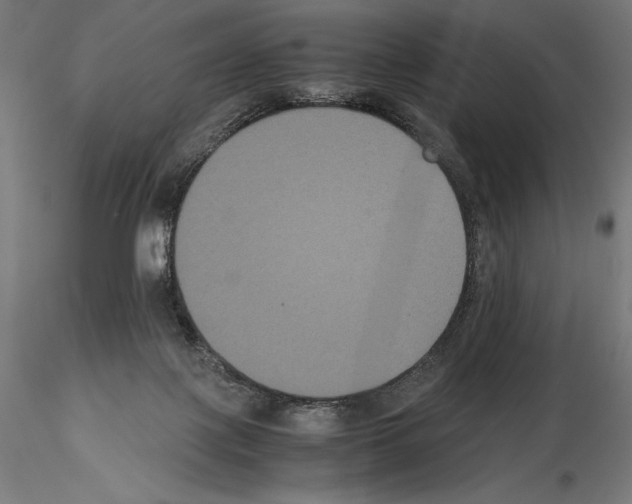 X0000114620075200912011011