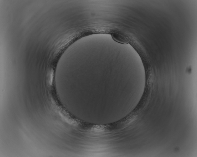 X0000114620076200912011011