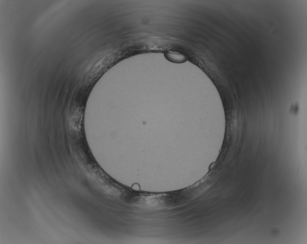 X0000114620078200912011011