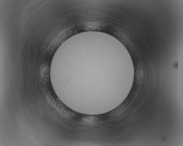 X0000114620079200912011011