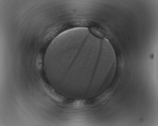 X0000114620080200912011011