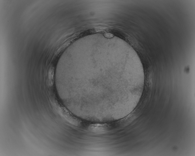 X0000114620082200912011011