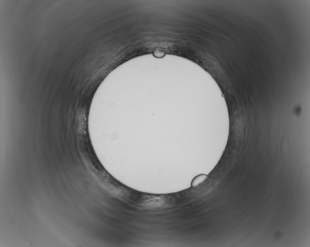 X0000114620083200912011011