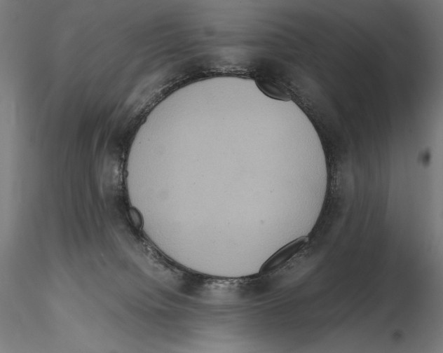 X0000114620084200912011011