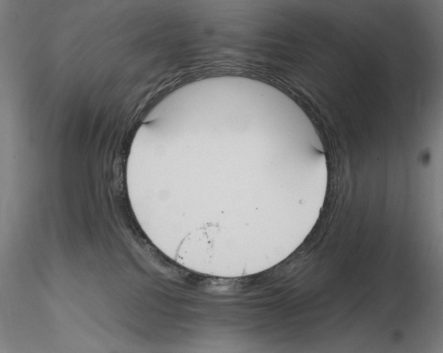 X0000114620088200912011011