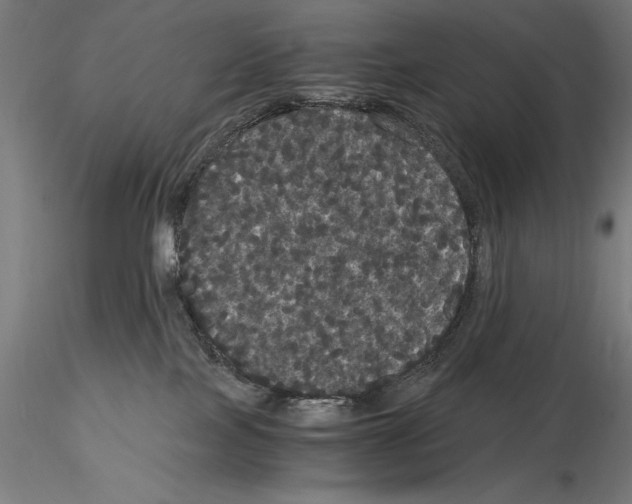 X0000114620089200912011011