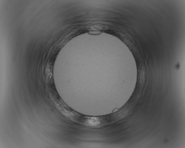 X0000114620091200912011011