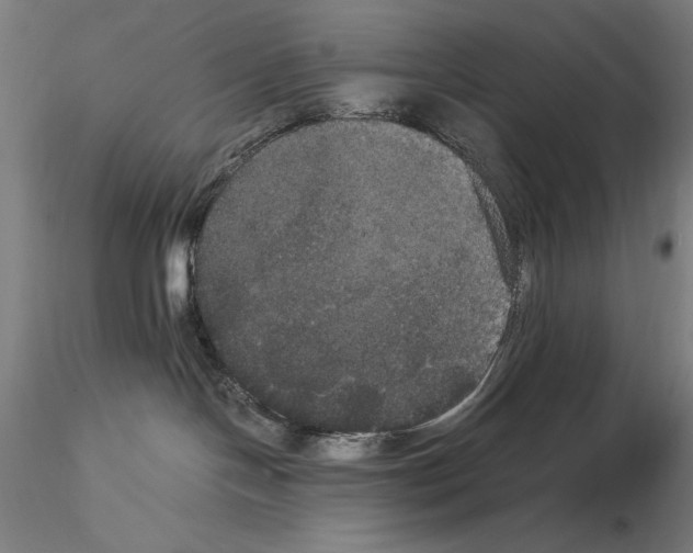 X0000114620094200912011011