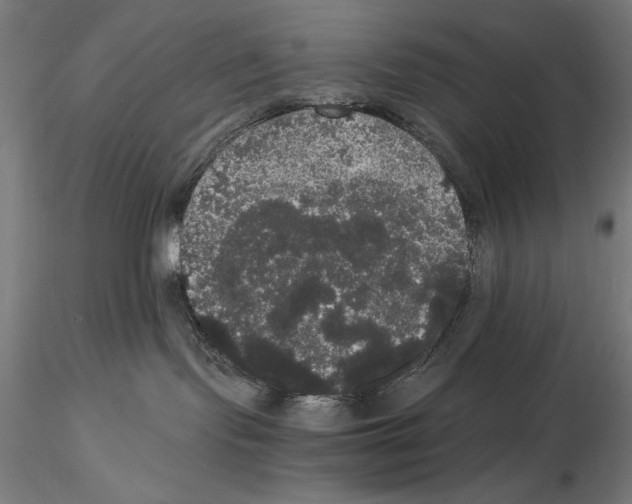 X0000114620095200912011011