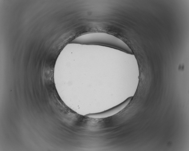 X0000114620096200912011011