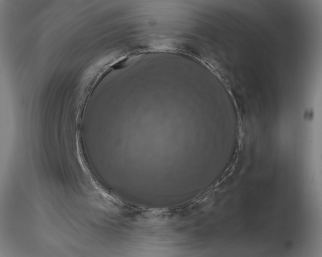 X0000114620097200912011011