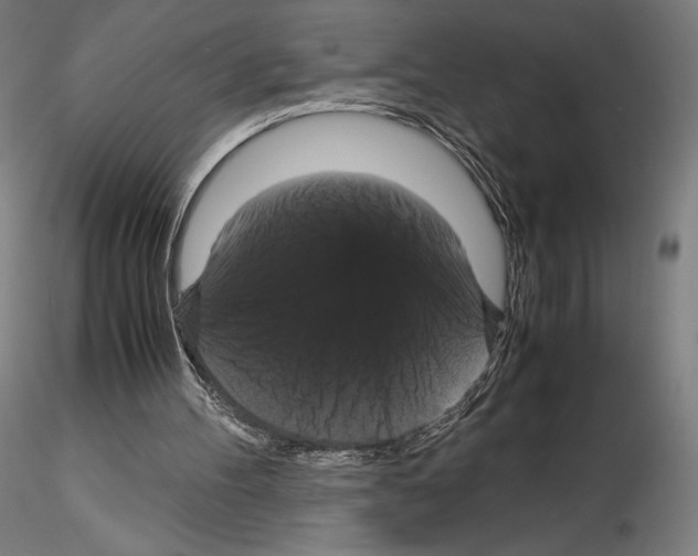 X0000114620100200912011011