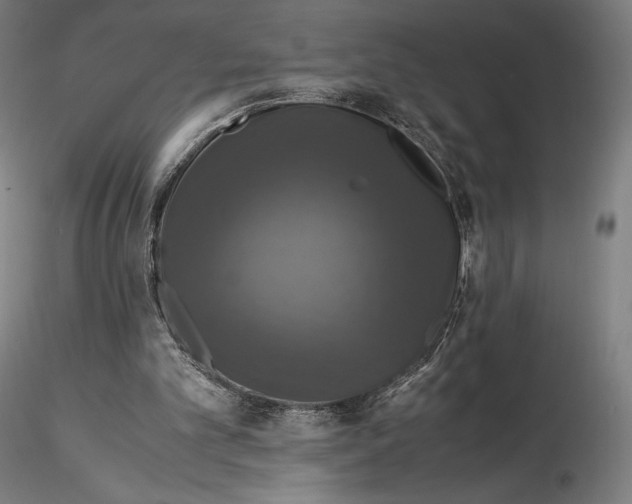 X0000114620101200912011011