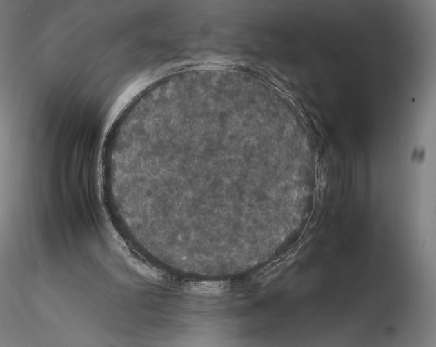 X0000114620102200912011011