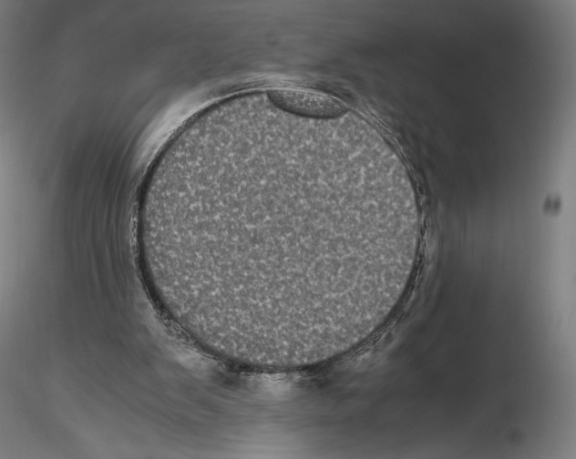 X0000114620103200912011011