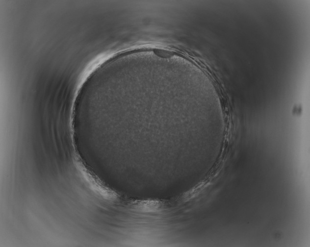 X0000114620104200912011011