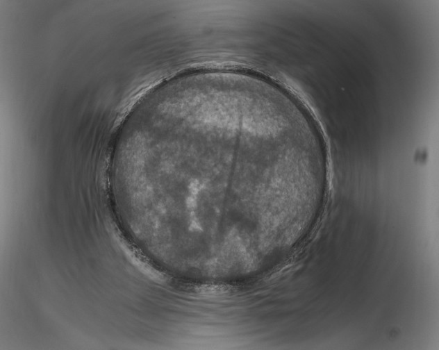 X0000114620105200912011011