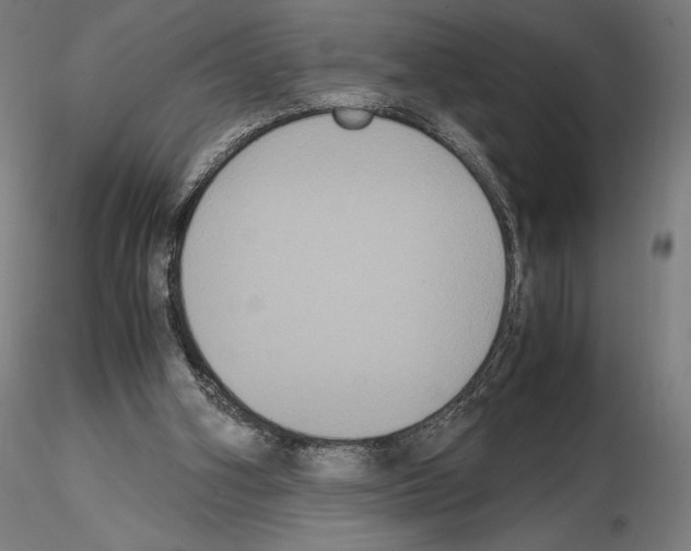 X0000114620106200912011011