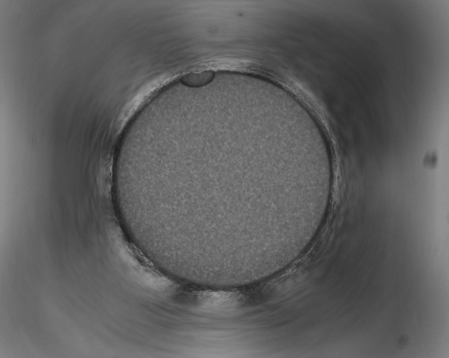 X0000114620107200912011011