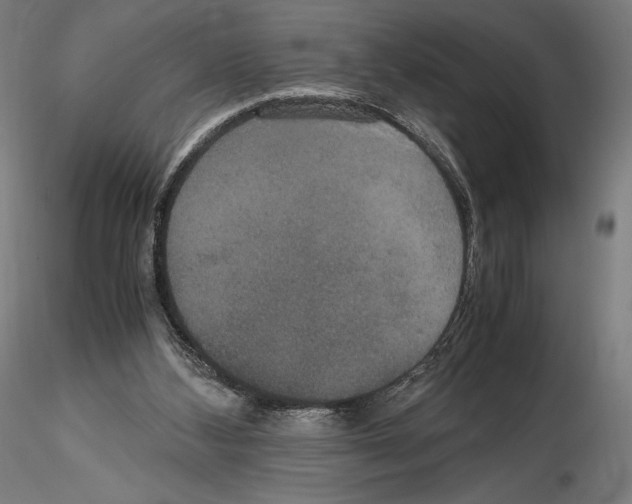 X0000114620108200912011010