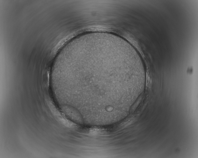 X0000114620109200912011010