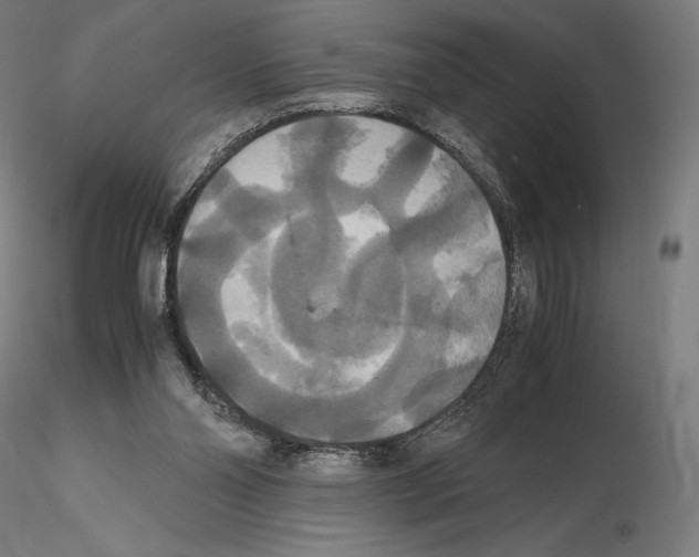 X0000114620110200912011010