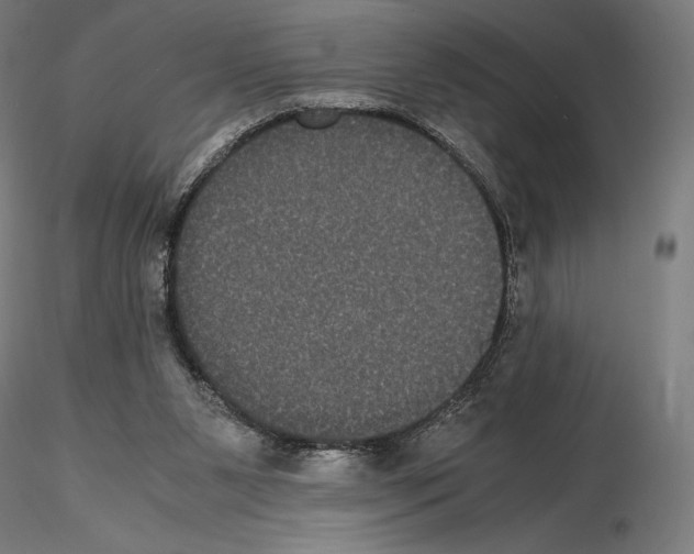 X0000114620111200912011010