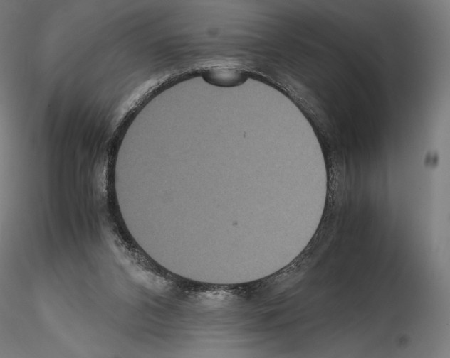 X0000114620112200912011010