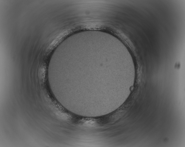 X0000114620113200912011010