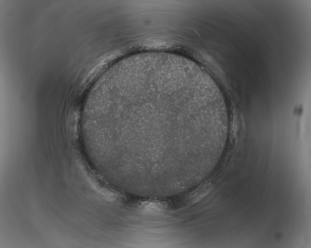 X0000114620115200912011010