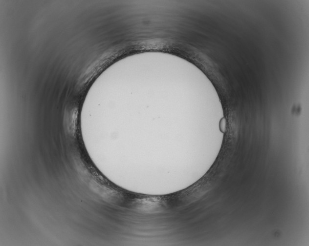 X0000114620118200912011010