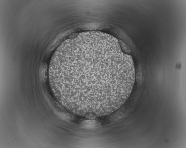 X0000114620119200912011010