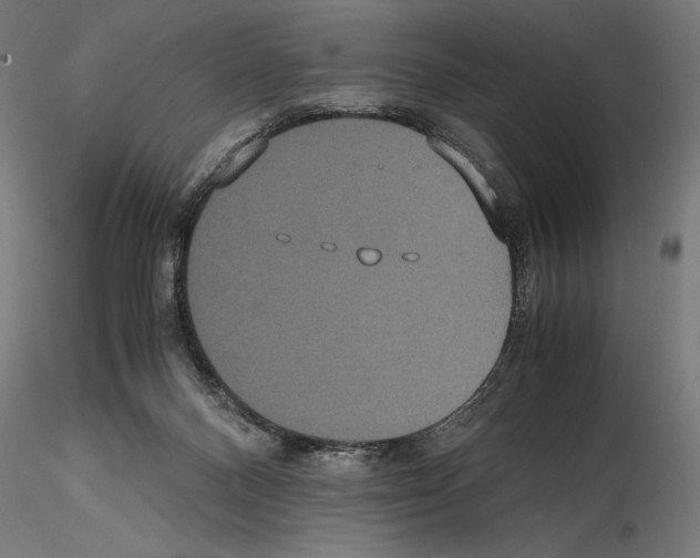 X0000114620120200912011010