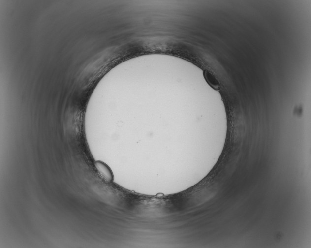 X0000114620125200912011010