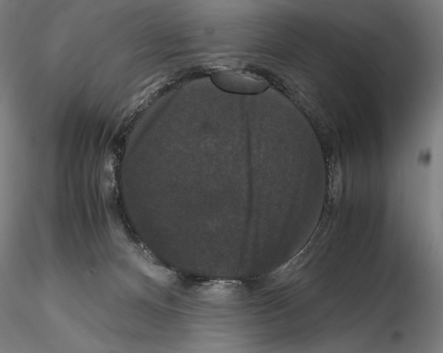 X0000114620128200912011010