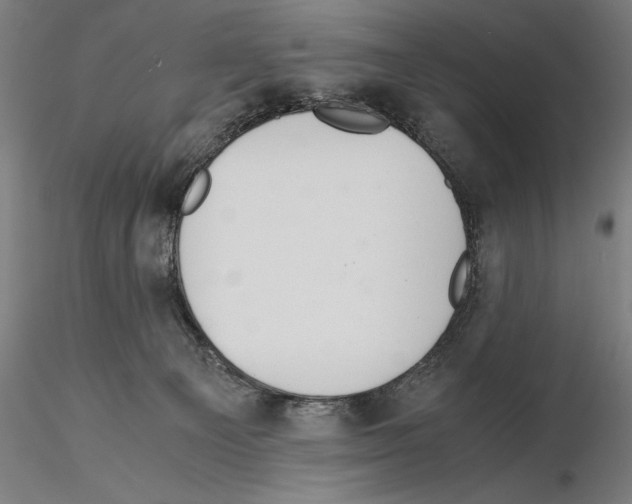 X0000114620129200912011010