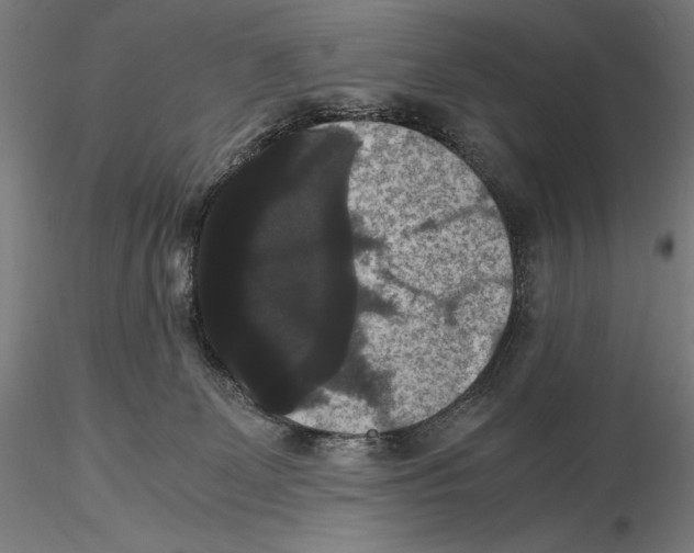 X0000114620131200912011010