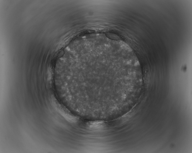 X0000114620132200912011010