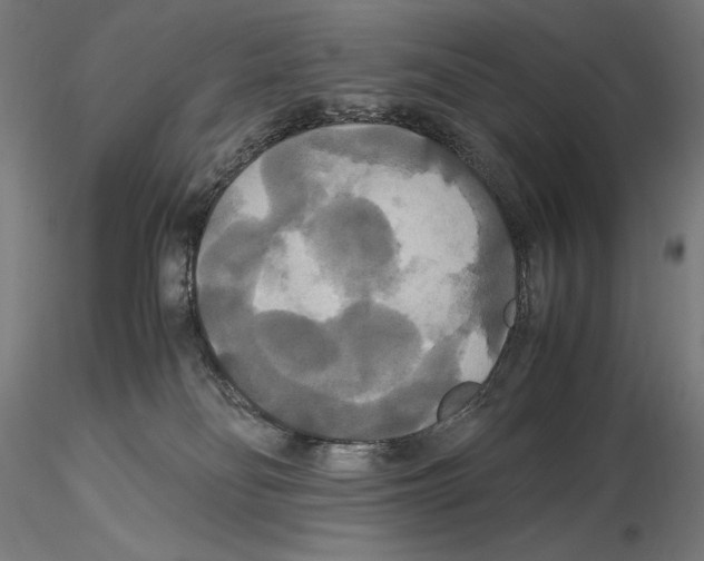 X0000114620134200912011010